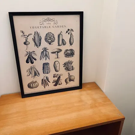 Casa De Mi Tia *